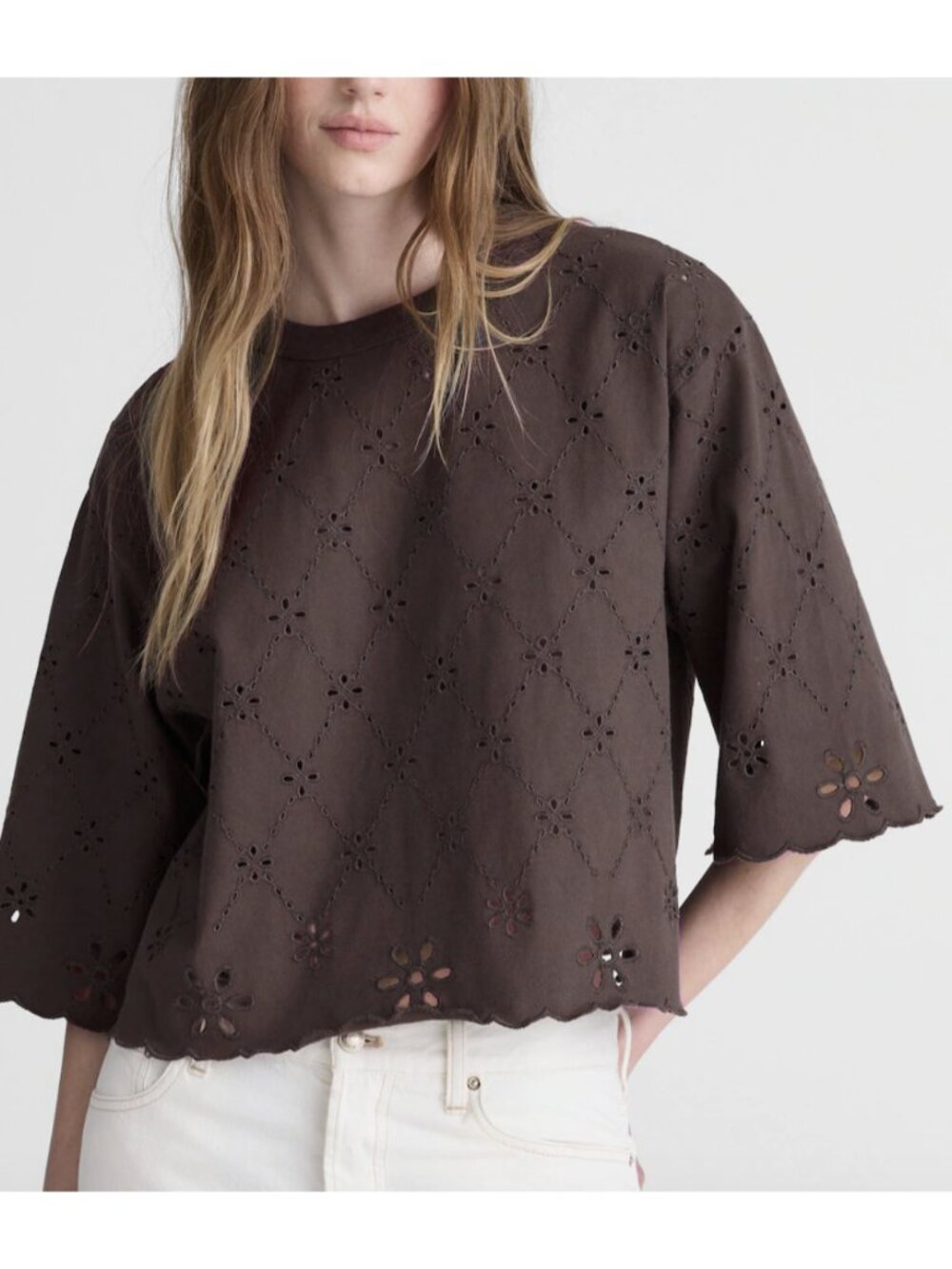 NEW MADEWELL The Embroidered Boxy Crop Tee in Allday Jersey sz S Small Chocolate